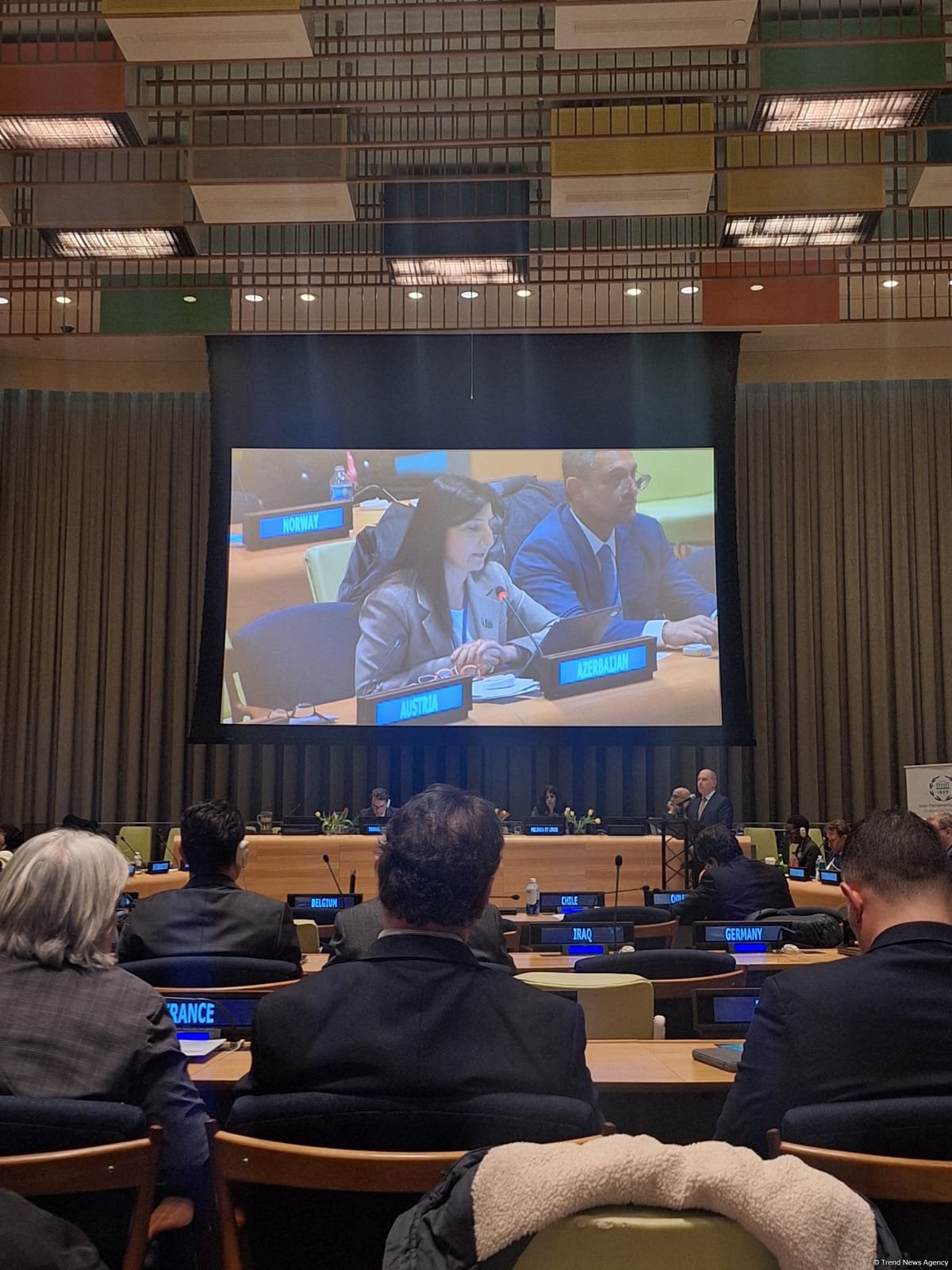 MP Sevil Mikayilova highlights expansion of Azerbaijan's non-oil exports at UN hearings (VIDEO)