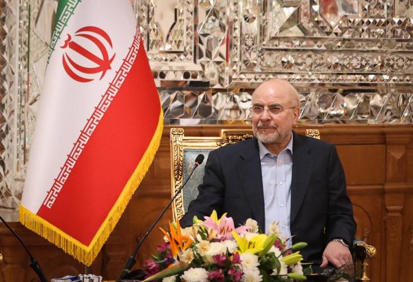 US and other nations should not determine fate of Palestinian people - Iranian MP