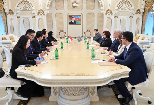 Azerbaijani, Indonesian parliaments explore opportunities for deeper cooperation