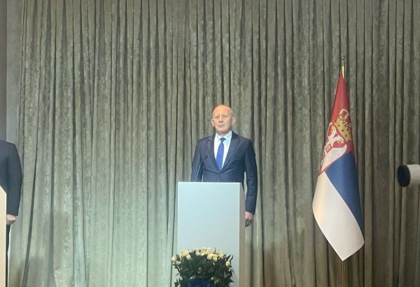 Azerbaijani-Serbian relations developed into strategic partnership – ambassador