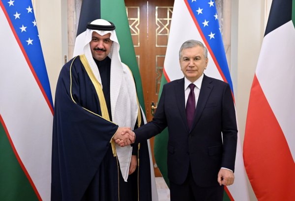 Kuwait's Action Group Holdings plans to build hydropower plants in Uzbekistan