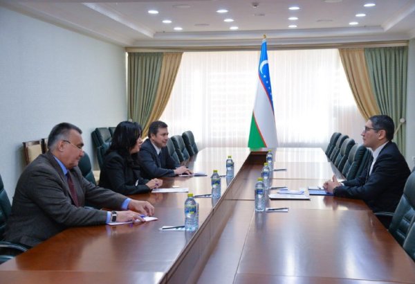 Uzbekistan, FAO discuss co-op on sustainable agricultural development
