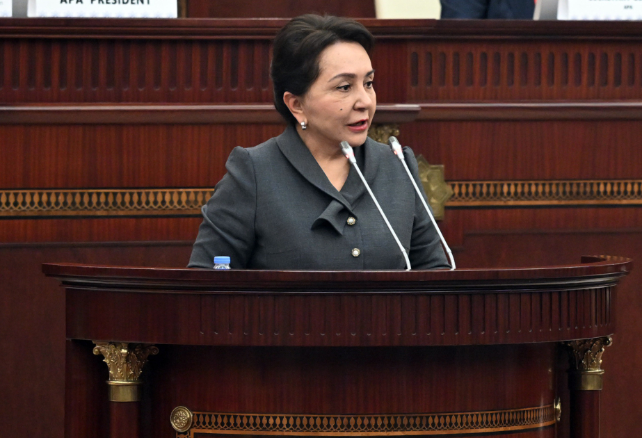 Asian nations confront major challenges amid global instability - Uzbek senate chairperson