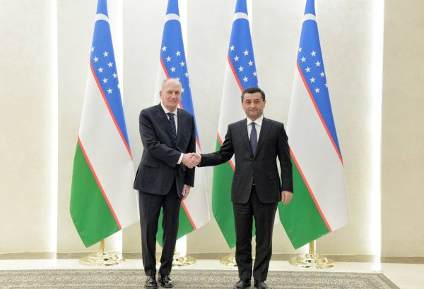 Newly appointed Georgian ambassador to Uzbekistan presents his credentials