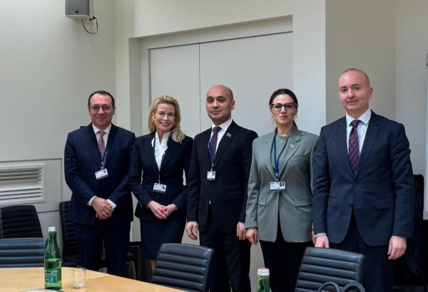 Azerbaijani parliamentary delegation holds talks with OSCE PA President (PHOTO)
