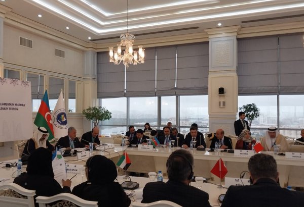 APA approves seven draft resolutions on economic and sustainable development