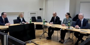 Azerbaijani parliamentary delegation holds talks with OSCE PA President (PHOTO)