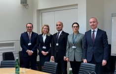 Azerbaijani parliamentary delegation holds talks with OSCE PA President (PHOTO)