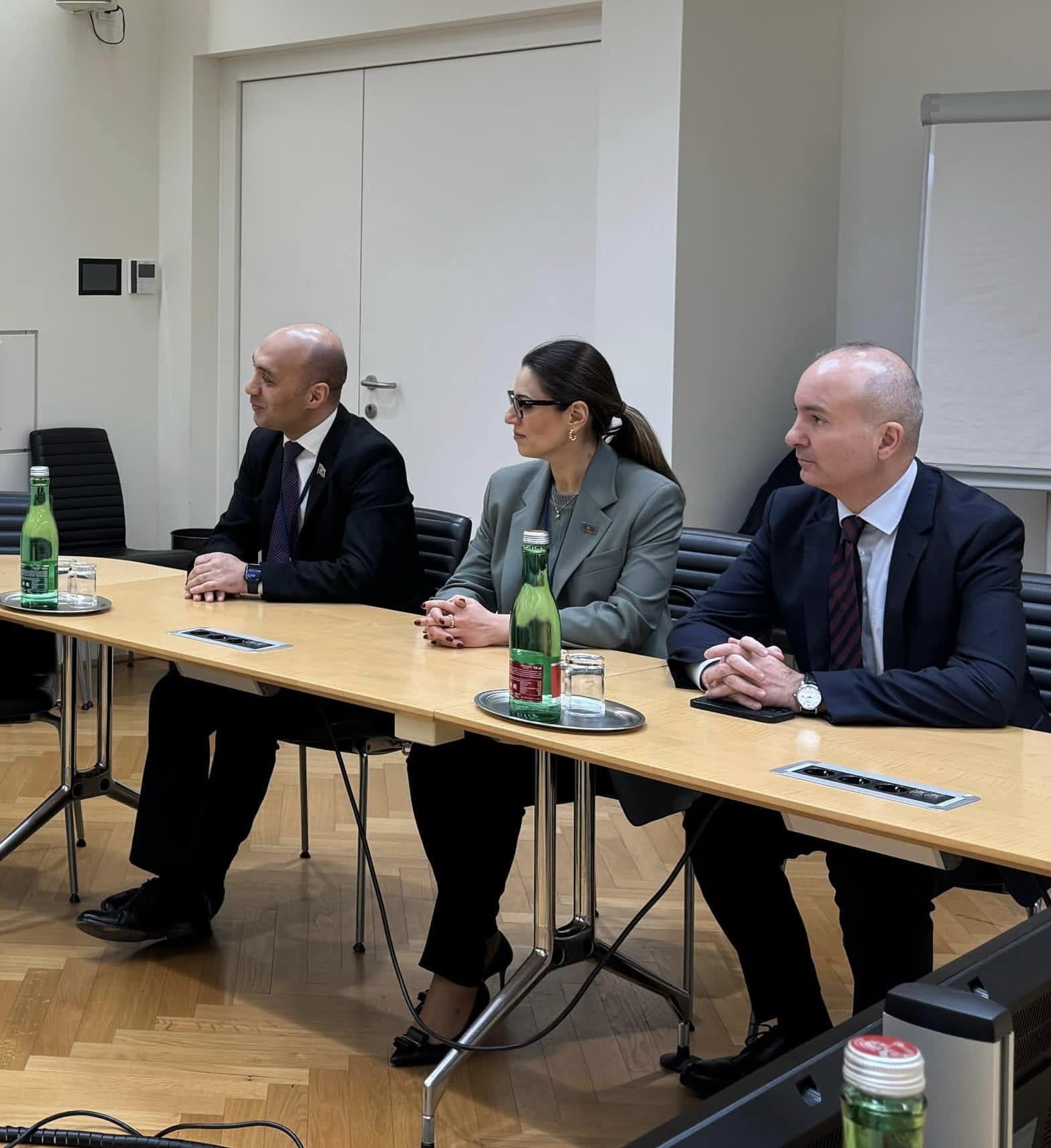 Azerbaijani parliamentary delegation holds talks with OSCE PA President (PHOTO)