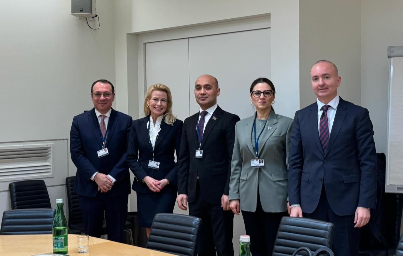 Azerbaijani parliamentary delegation holds talks with OSCE PA President (PHOTO)