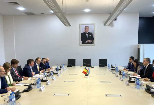 Azerbaijan, Belgium discuss strengthening investment partnerships
