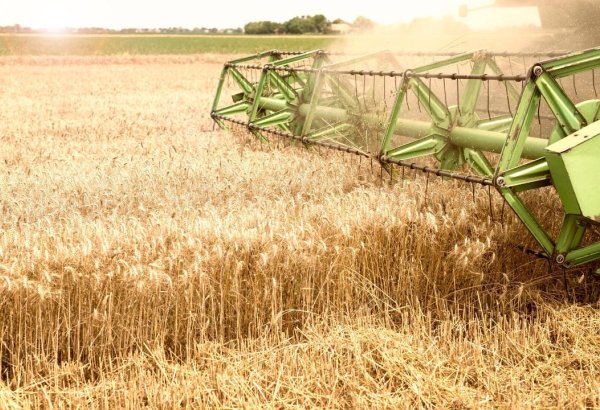 Kazakhstan to embark on major rural dev't projects in 2025