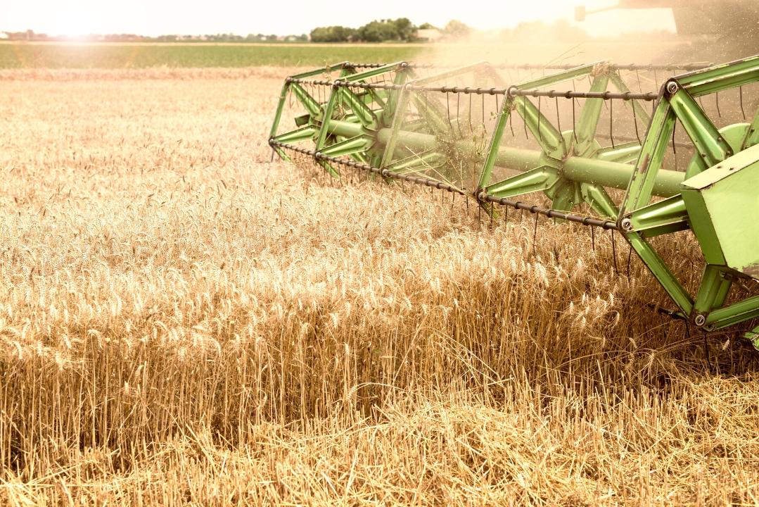 Kazakhstan to embark on major rural dev't projects in 2025