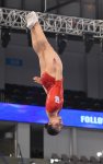 Final stage of trampoline and tumbling World Cup kicks off in Baku (PHOTO)
