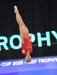 Final stage of trampoline and tumbling World Cup kicks off in Baku (PHOTO)