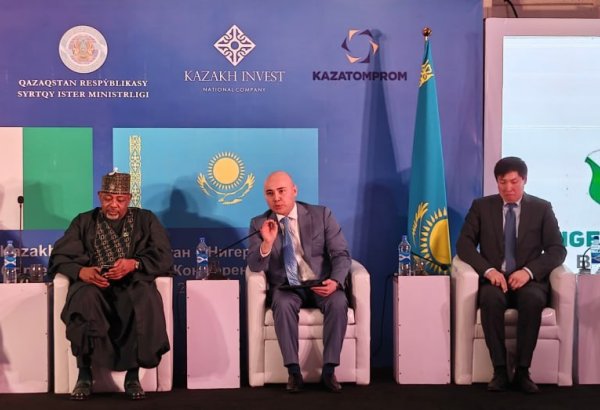 Kazakhstan, Nigeria looking to join forces in IT arena