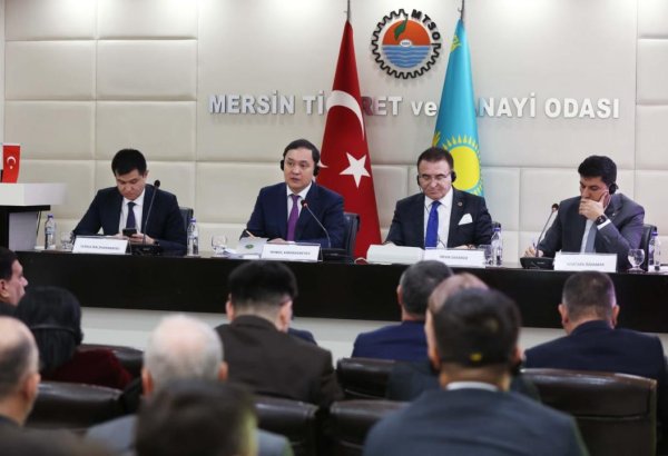 Kazakhstan's Zhambyl region strengthens business ties with Türkiye