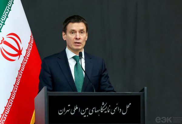 EAEU agreement leads economic co-op with Iran to new heights of excellence -  minister