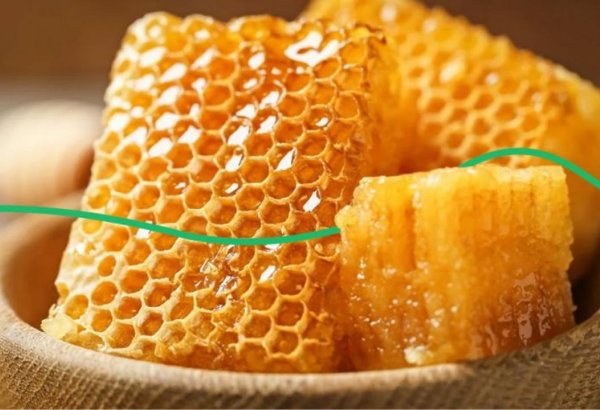 Kyrgyzstan boosts honey exports in early 2025