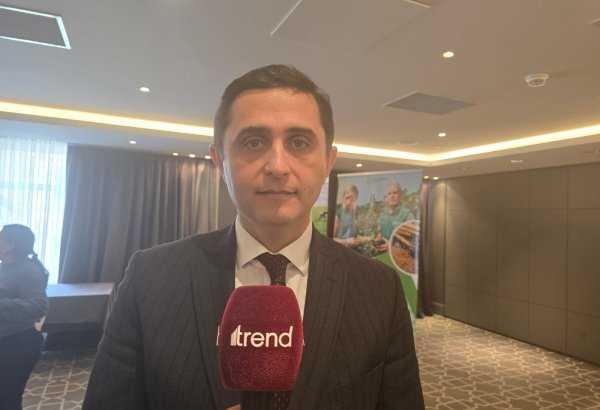 Azerbaijan plans to insure beekeeping enterprises - official