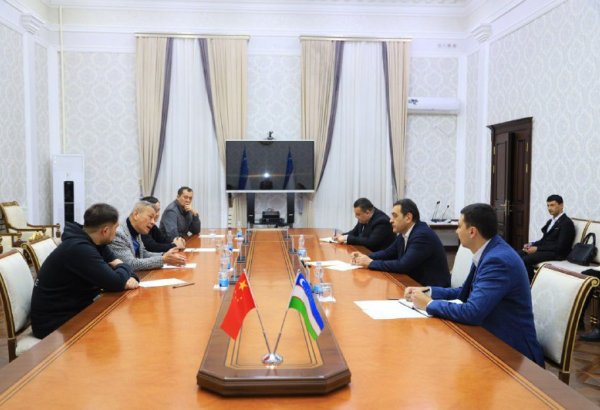 China implements large investment project in Uzbekistan's Kokand