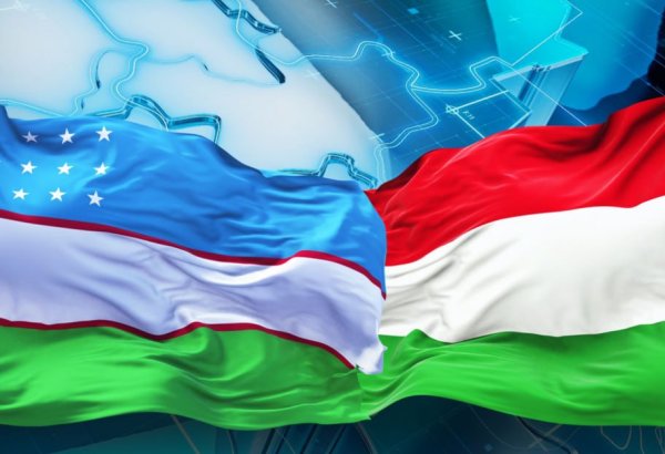Uzbekistan, Hungary discuss strengthening strategic partnership