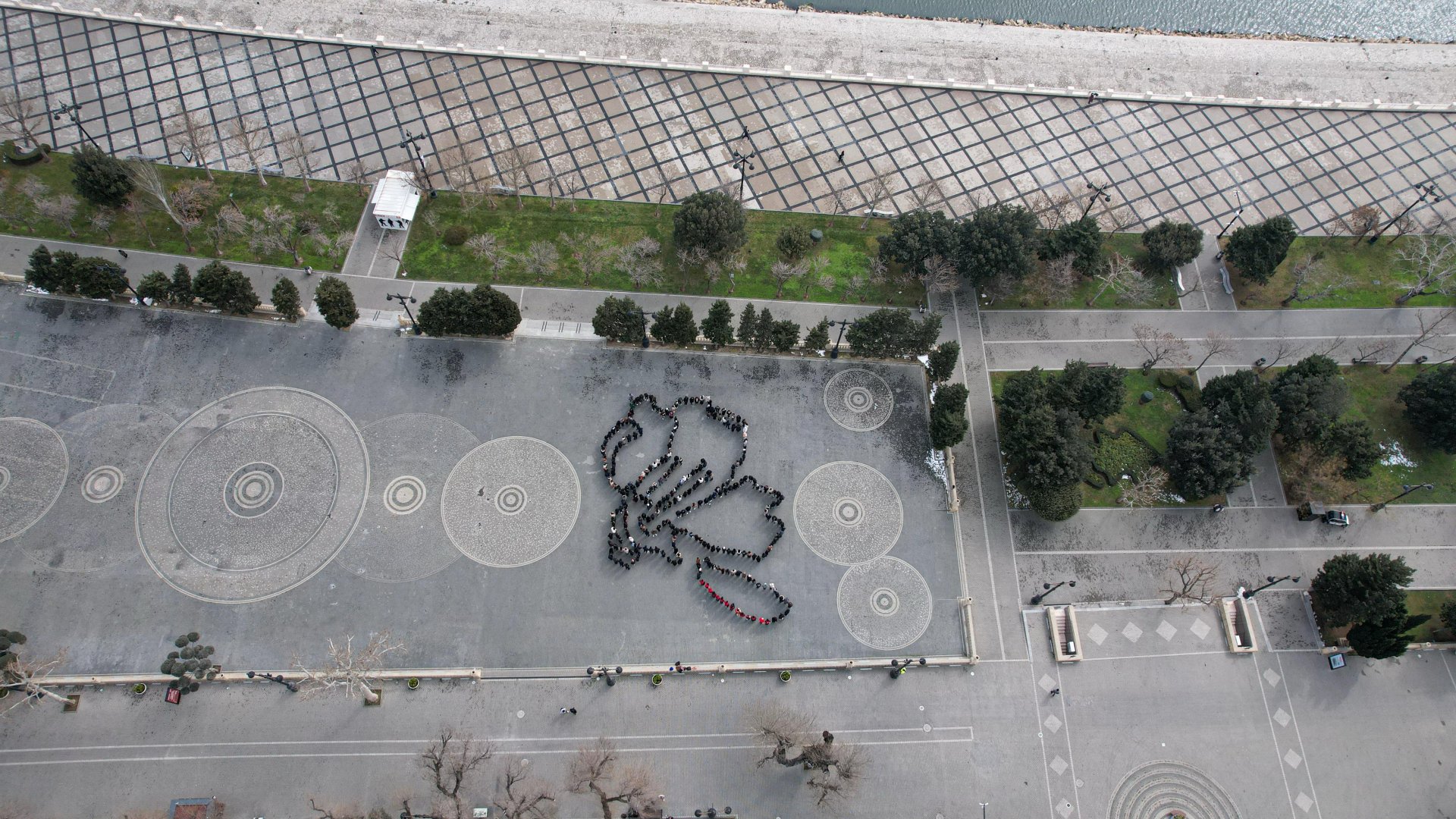 Azerbaijani volunteers hold flashmob honoring Khojaly genocide victims (PHOTO)