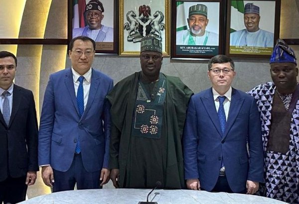 Kazakhstan, Nigeria forge co-op in space and digital economy