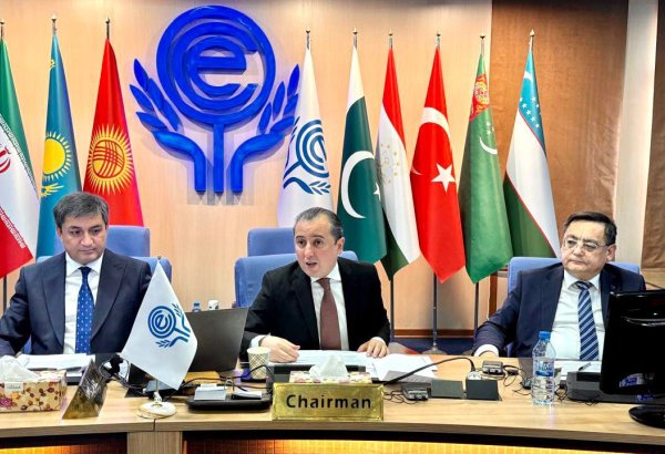 Azerbaijan leads tourism committee meeting at Tehran-run ECO session