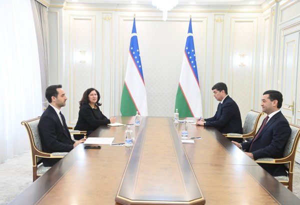 Newly appointed Turkish ambassador presents credentials in Uzbekistan