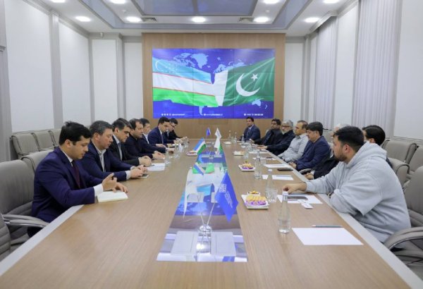 Uzbekistan, Pakistan discuss strengthening transport, logistics co-op