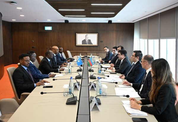 Azerbaijan, Somalia evaluate potential partnership in energy sector
