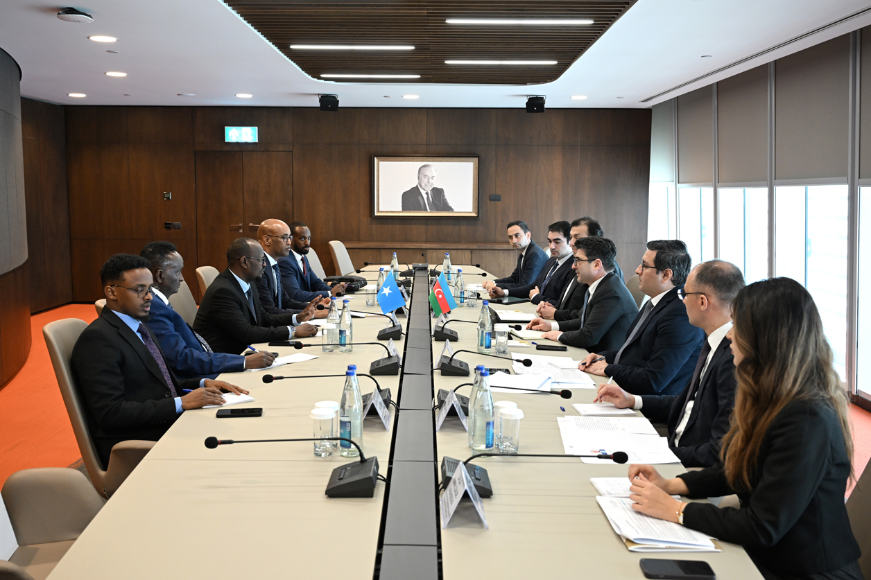 Azerbaijan, Somalia evaluate potential partnership in energy sector