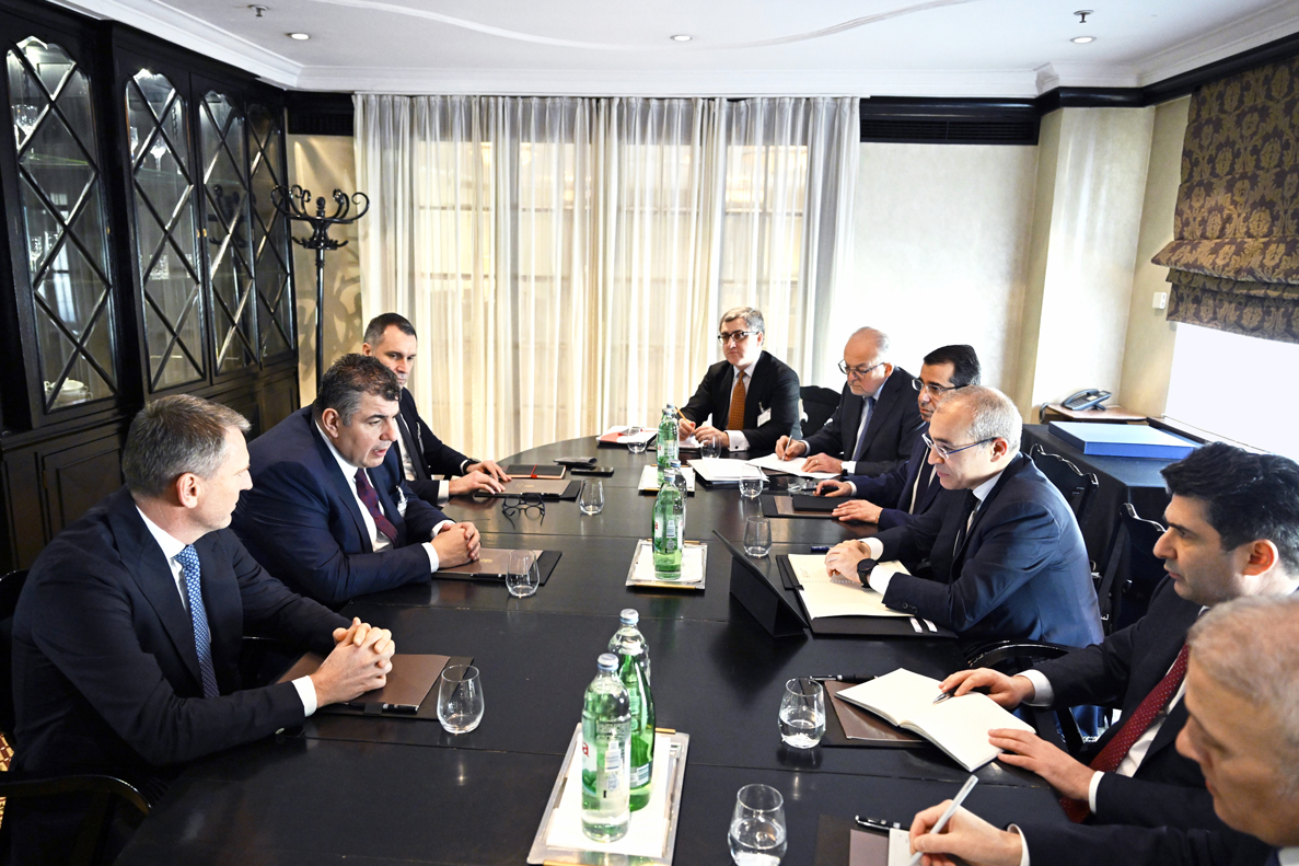 Azerbaijan, Croatia explore joint efforts in green energy transition (PHOTO)