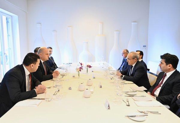 Azerbaijan, Croatia explore joint efforts in green energy transition (PHOTO)