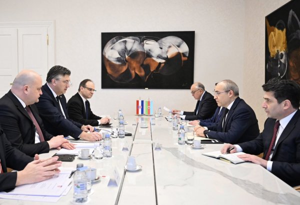 Azerbaijan, Croatia seek to enhance mutual investments