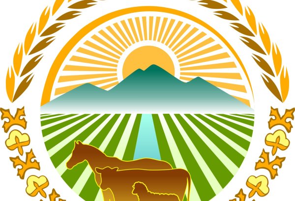 Kyrgyzstan reports progress in spring sowing