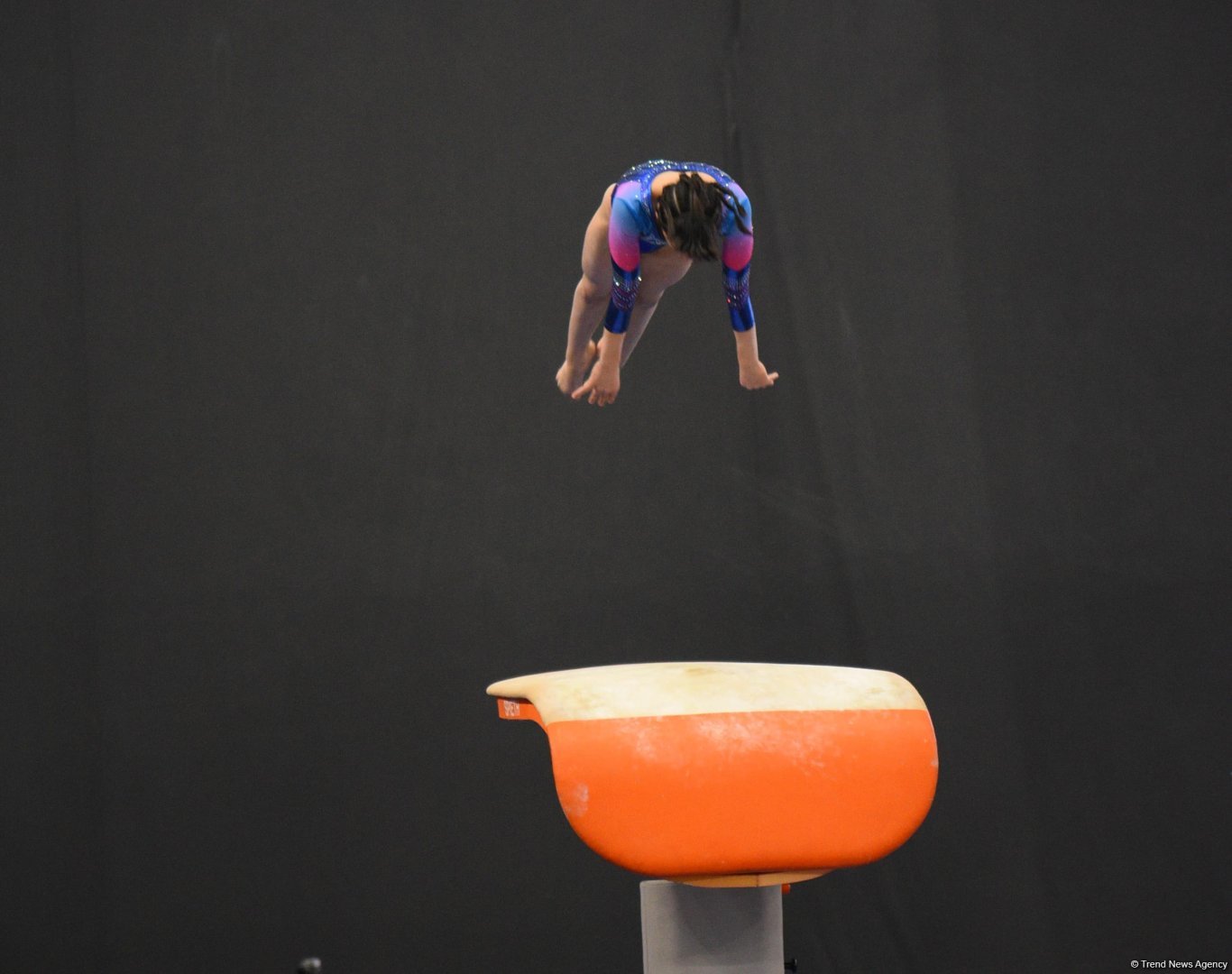 Gymnastics competition heats up in Azerbaijan's Baku (PHOTO)