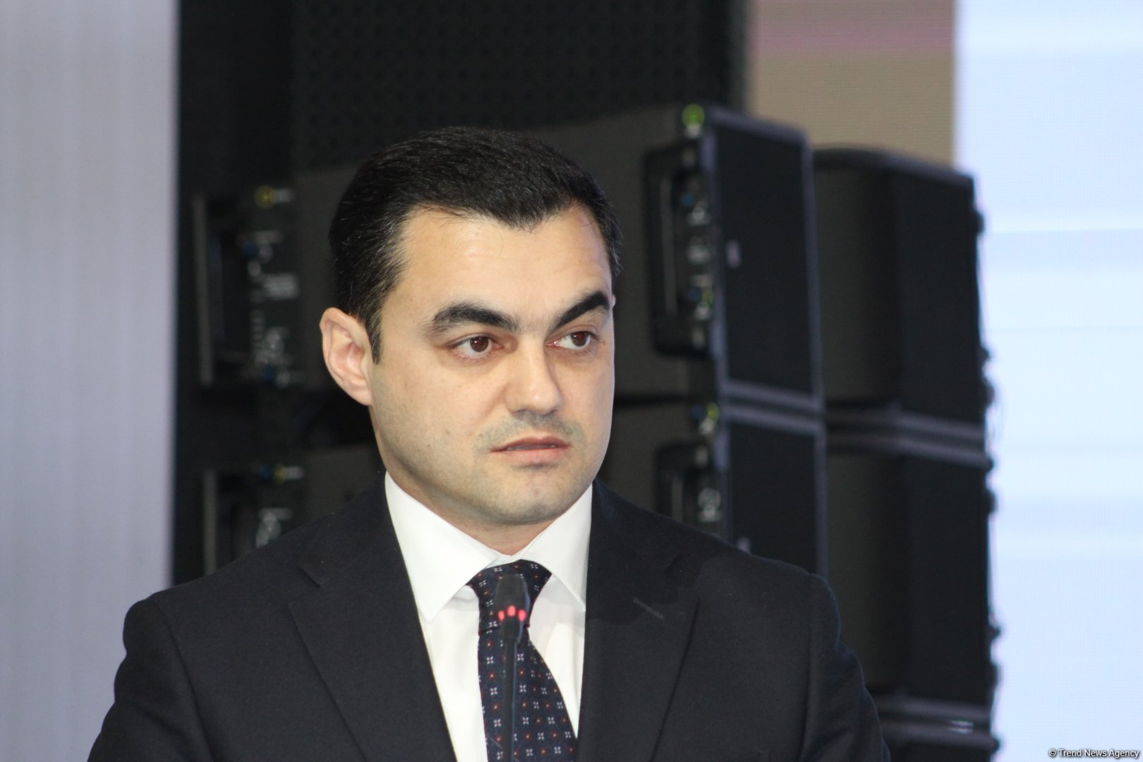 Azerbaijani state tax service unveils strategy aimed at spurring economic dev't