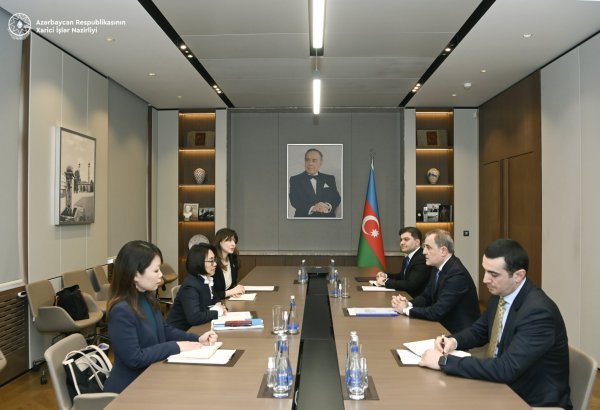 Azerbaijan, UN explore current state and prospects of relations (PHOTO)
