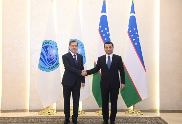 SCO secretary general and Uzbek FM discuss development of economic ties