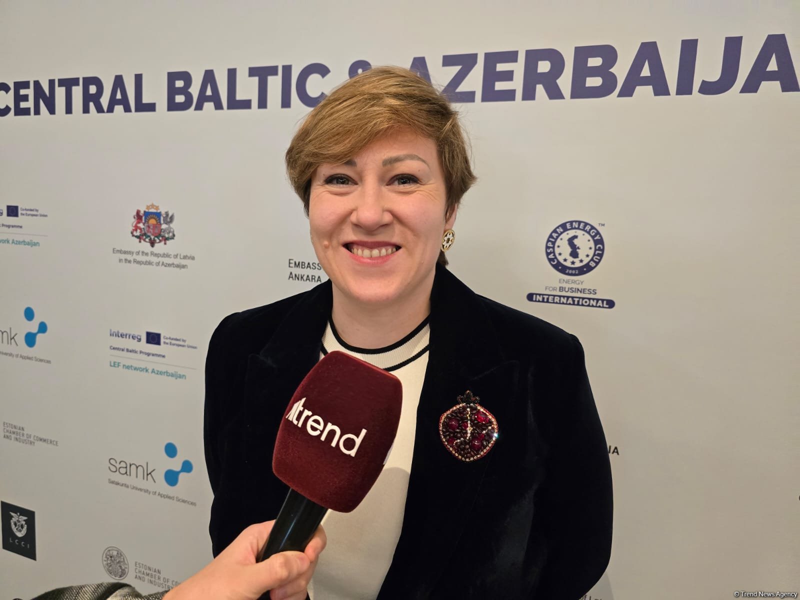 Azerbaijan, Central Baltic states plan continued collaboration through new business format