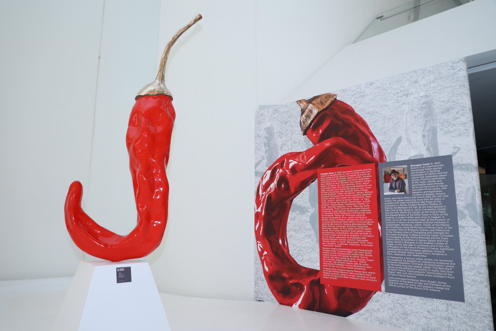 Heydar Aliyev Center hosts Italian sculptor`s exhibition "Gifts of Nature" (PHOTO/VIDEO)