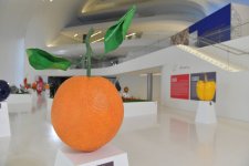 Heydar Aliyev Center hosts Italian sculptor`s exhibition "Gifts of Nature" (PHOTO/VIDEO)