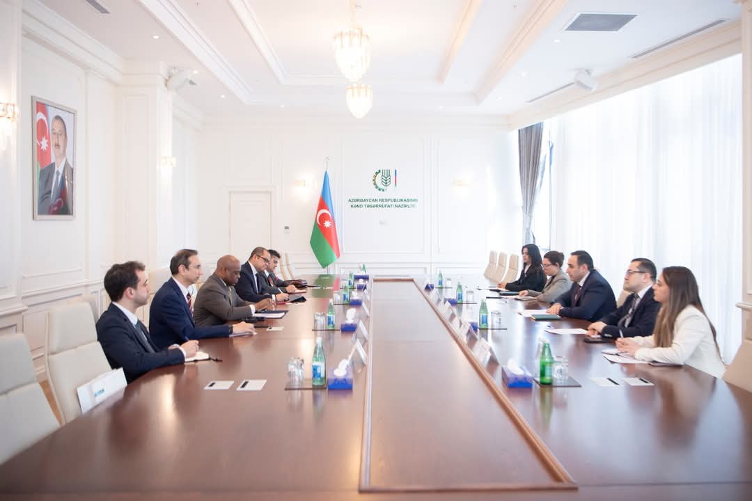 Azerbaijan, D-8 weigh up agricultural digitalization matters