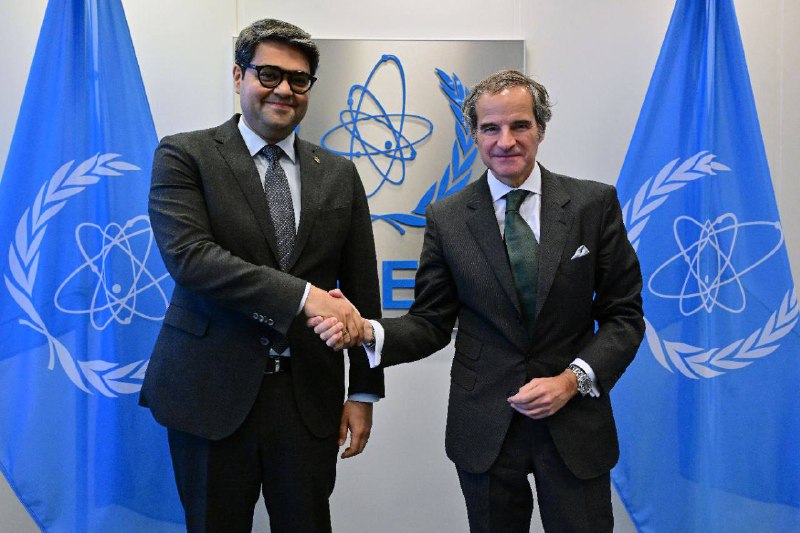 Uzatom, IAEA discuss Uzbekistan's adherence to int'l nuclear safety legal documents