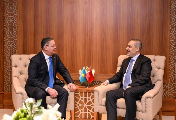 Kazakhstan, OIC countries discuss expanding co-op in political and economic spheres