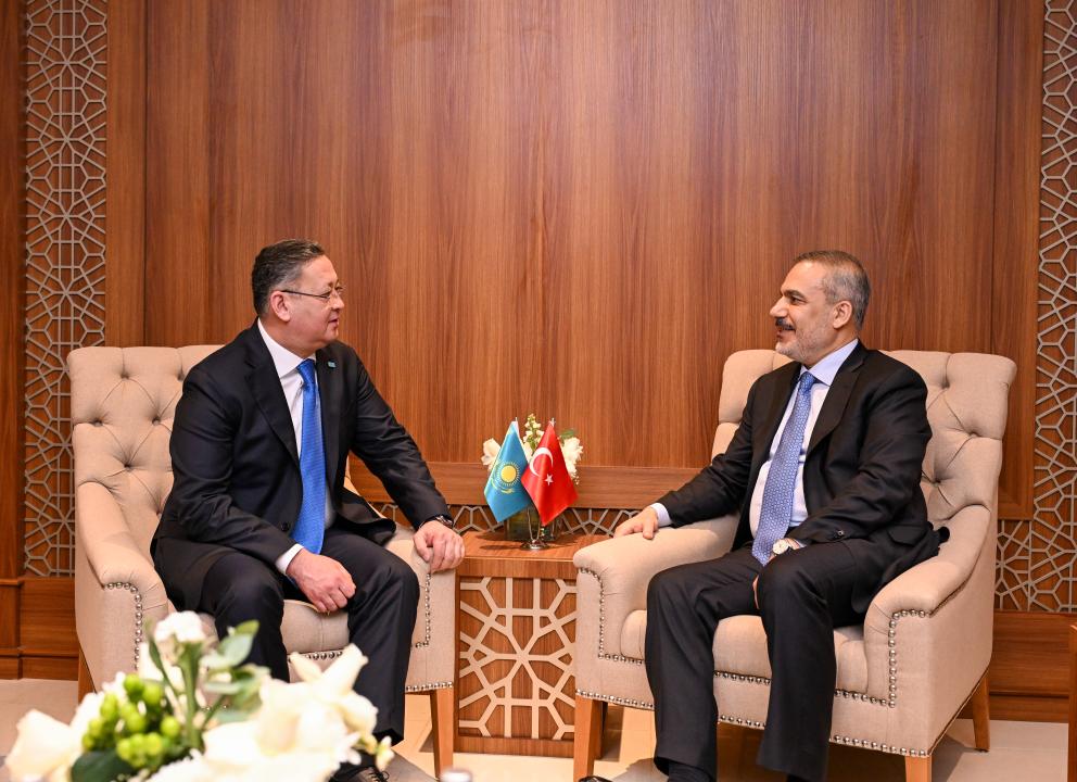 Kazakhstan, OIC countries discuss expanding co-op in political and economic spheres