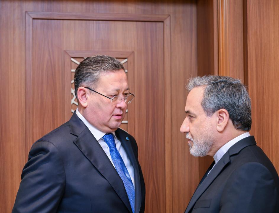 Kazakhstan, OIC countries discuss expanding co-op in political and economic spheres