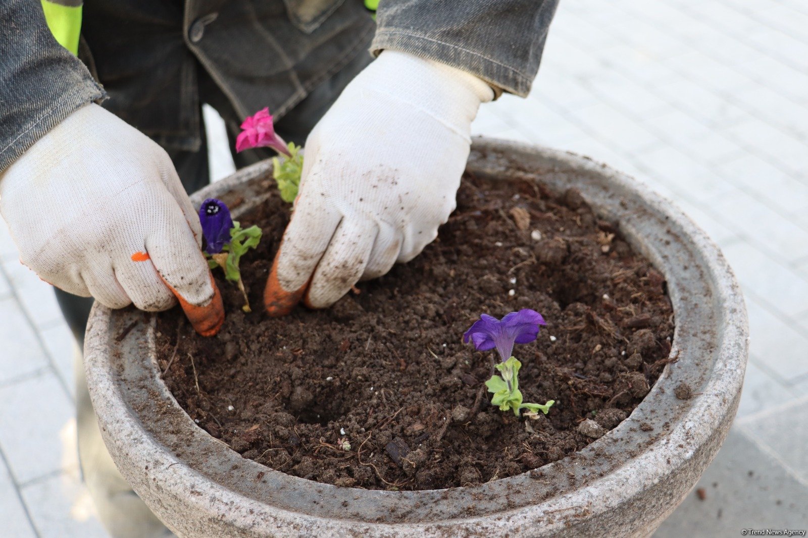 Azerbaijan’s Khankendi awakens to splendor of spring (PHOTO)